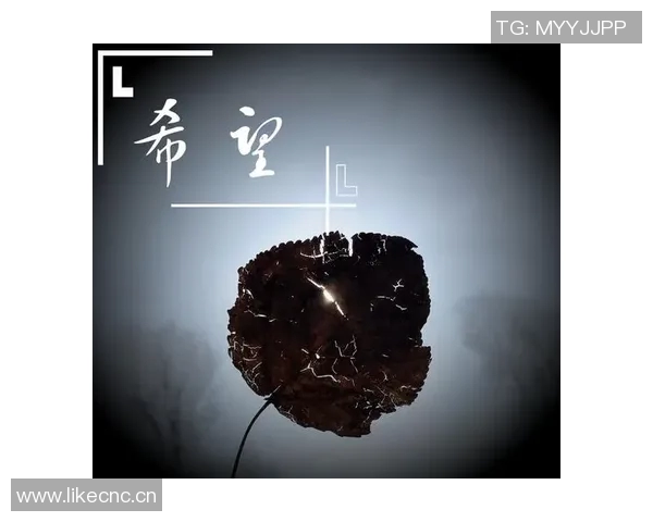 海纳回忆妻子痴呆症去世经历愿患者珍藏快乐时光的记忆