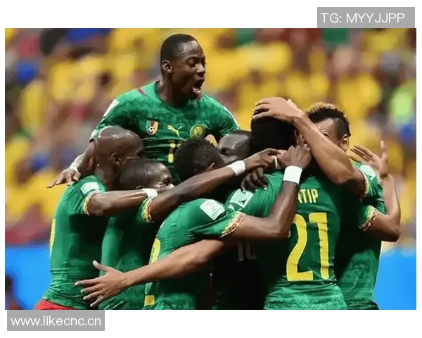 佩佩因不当言论遭批评无缘代表科特迪瓦征战非洲杯